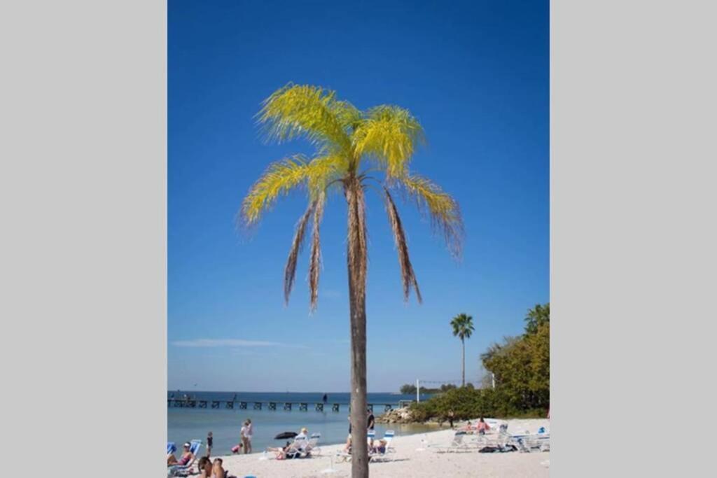 Sea Breeze, Studio 510, Beach Steps Away!+Pool+Wifi Ruskin Buitenkant foto