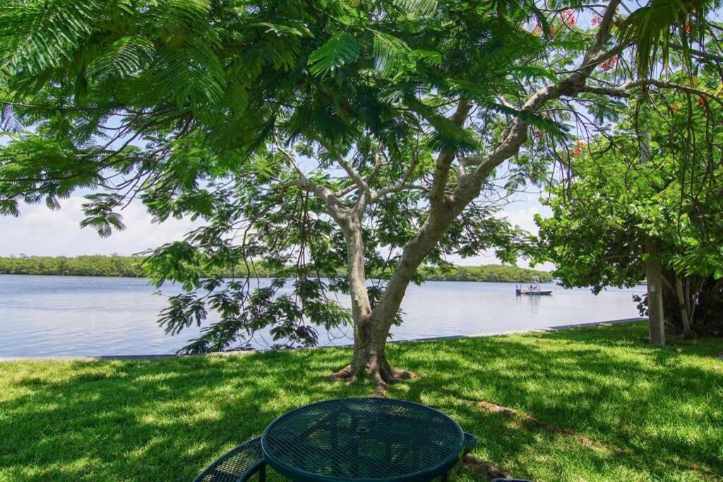 Sea Breeze, Studio 510, Beach Steps Away!+Pool+Wifi Ruskin Buitenkant foto